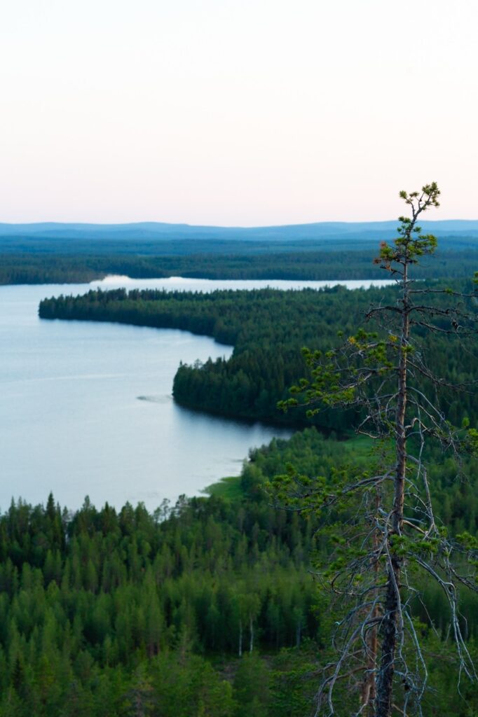 2025HMnetti-18 Large