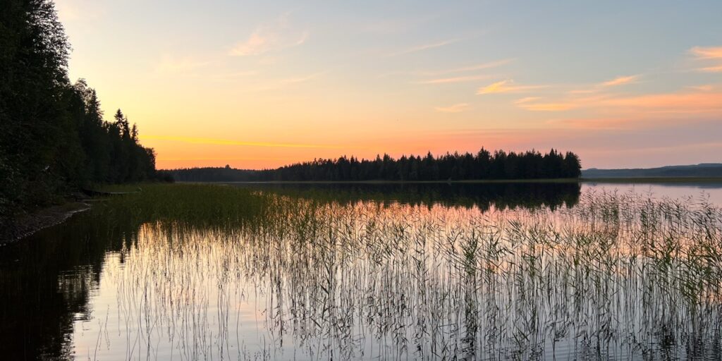 Lisäkuvia HM netti-5 Large